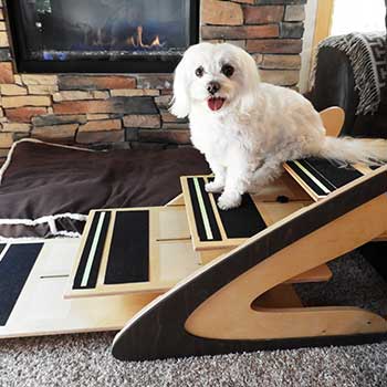 Maltese on Good Steps dog steps