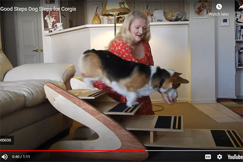 Good Steps adjustable dog steps video