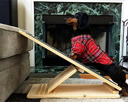 dachshund on steep ramp