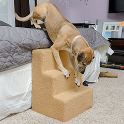 Best pet steps for large dogs best sale